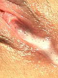 960-050.jpg
